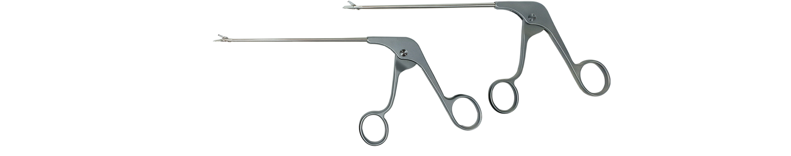 Basket Punch Forceps